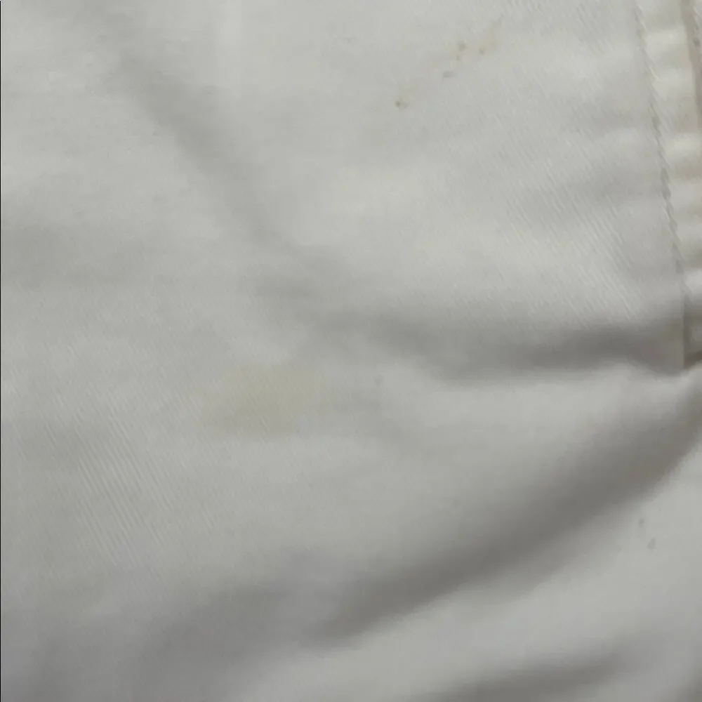 Barry Bricken Martini Glass embroidered flat front dress chino shorts sz 40